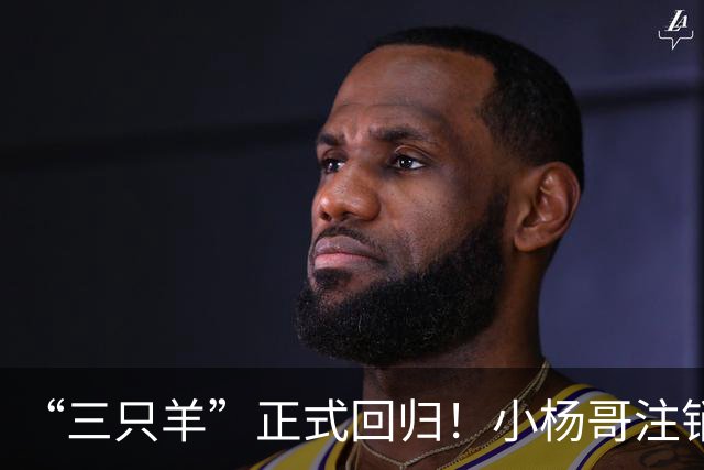 “三只羊”正式回归！小杨哥注销过亿粉丝d音账号，再注册新号发声明。