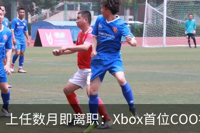 上任数月即离职：Xbox首位COO被曝因"违反政策"遭解雇