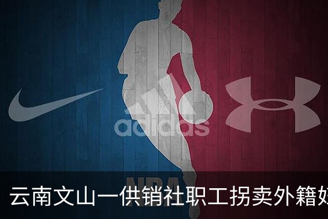 云南文山一供销社职工拐卖外籍妇女案二审维持原判，判刑五年九个月