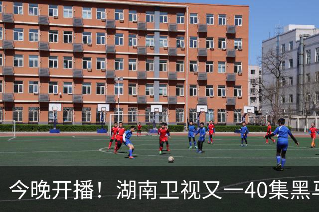 今晚开播！湖南卫视又一40集黑马剧来袭，演员阵容不错，值得期待