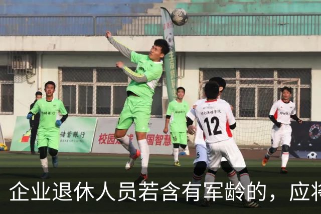 企业退休人员若含有军龄的，应将军龄单列出来按公务员的系数来计