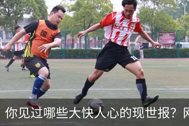 你见过哪些大快人心的现世报？网友：这叫什么现世报，流浪狗危害多大啊