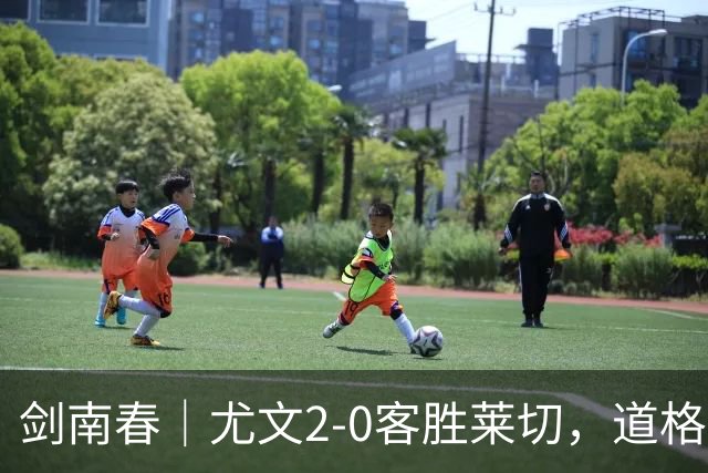 剑南春｜尤文2-0客胜莱切，道格拉斯-路易斯传射，麦肯尼建功