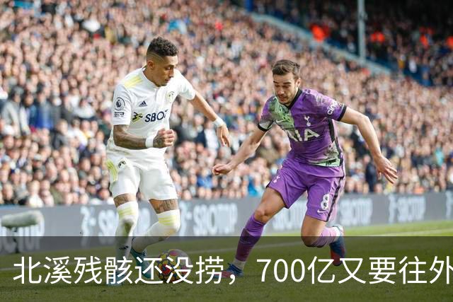 北溪残骸还没捞，700亿又要往外掏？德国政坛：要么赔钱要么滚