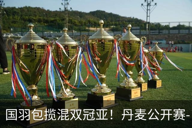 国羽包揽混双冠亚！丹麦公开赛-丫邦2-1逆转赢德比 与凤凰会师决赛
