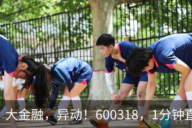 大金融，异动！600318，1分钟直线涨停