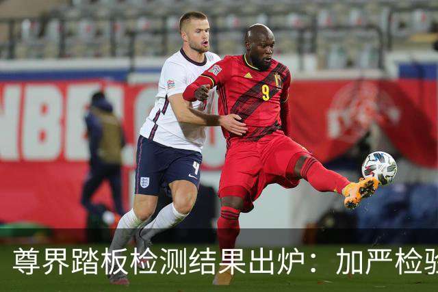 尊界踏板检测结果出炉：加严检验至3000N未出现裂纹和损坏
