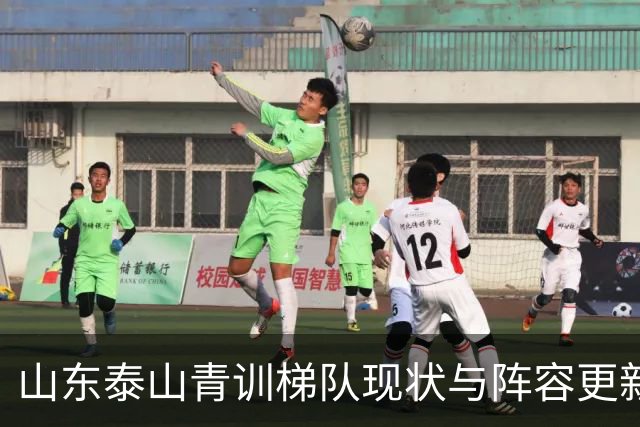 山东泰山青训梯队现状与阵容更新换代深度分析