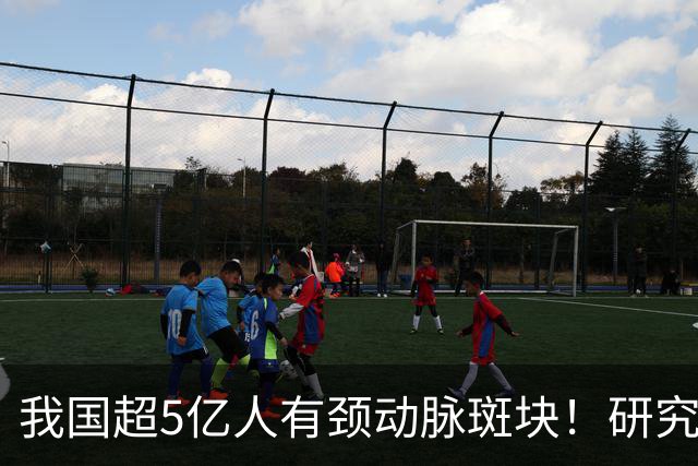 我国超5亿人有颈动脉斑块！研究证实：斑块可以消退！有6点建议