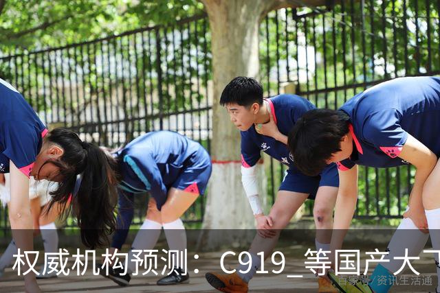 权威机构预测：C919 等国产大飞机二十年后将占全球机队二十分之一