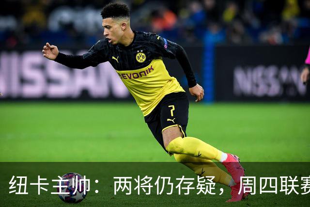 纽卡主帅：两将仍存疑，周四联赛杯出战成疑