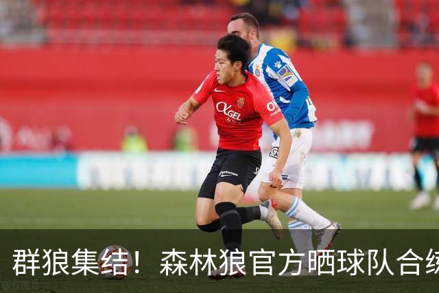 群狼集结！森林狼官方晒球队合练集锦：做好准备