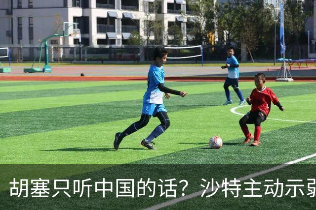 胡塞只听中国的话？沙特主动示弱，胡塞毫不买账，开口就是天价