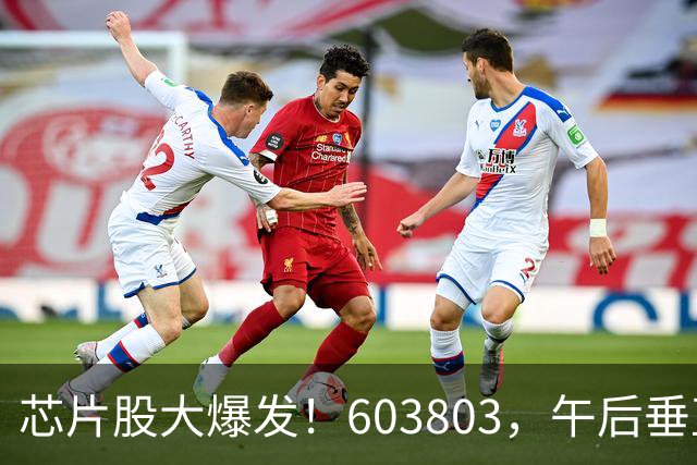芯片股大爆发！603803，午后垂直涨停！