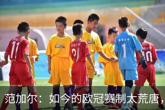 范加尔：如今的欧冠赛制太荒唐，随便什么阿猫阿狗都能参赛