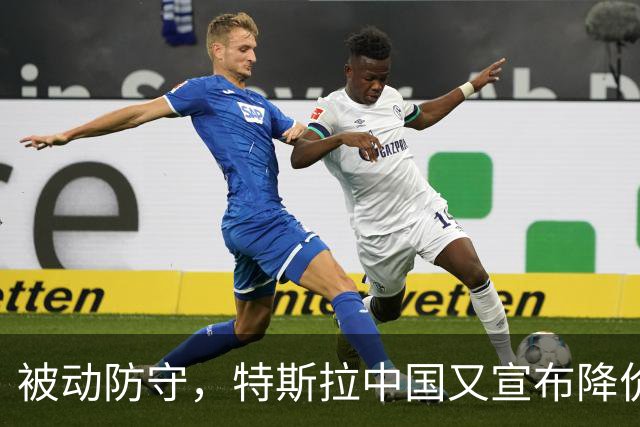 被动防守，特斯拉中国又宣布降价