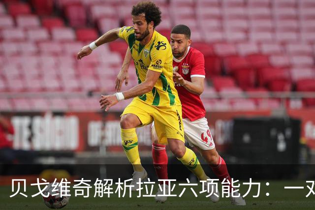 贝戈维奇解析拉亚六项能力：一对一与扑救获9分，空中能力是短板