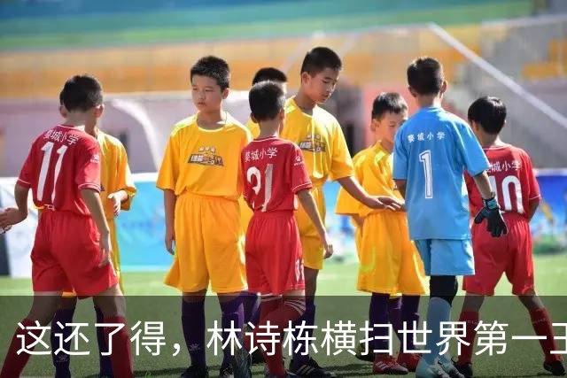 这还了得，林诗栋横扫世界第一王楚钦，这让王皓以后如何排兵布阵