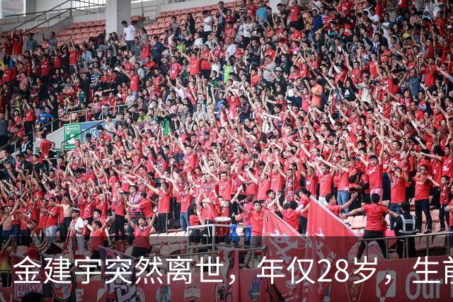 金建宇突然离世，年仅28岁，生前和林孝埈是多年好友