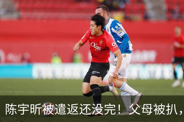 陈宇昕被遣返还没完！父母被扒，扬州公司洗白?背后的人憋不住了