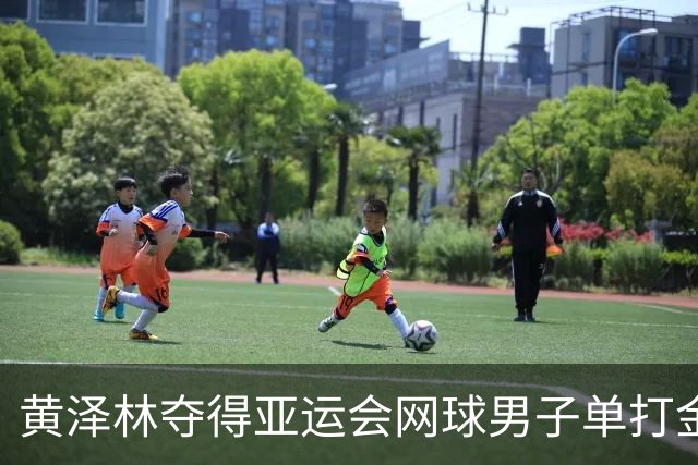 黄泽林夺得亚运会网球男子单打金牌，获洛杉矶奥运入场券，陈奕迅女儿曾承认与其相恋