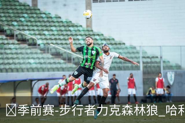 🏀季前赛-步行者力克森林狼 哈利伯顿伤愈回归7+6 爱德华兹19分